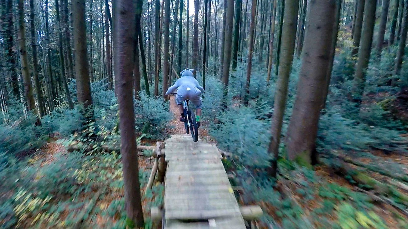 Red Leaves Day, journée de clôture 2017 Red Leaves Day, journée de clôture 2017